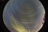 startrails/thumbnails/startrails-20260315.jpg