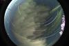 startrails/thumbnails/startrails-20260817.jpg