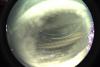startrails/thumbnails/startrails-20260822.jpg