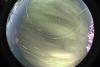 startrails/thumbnails/startrails-20260910.jpg