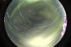 startrails/thumbnails/startrails-20260920.jpg